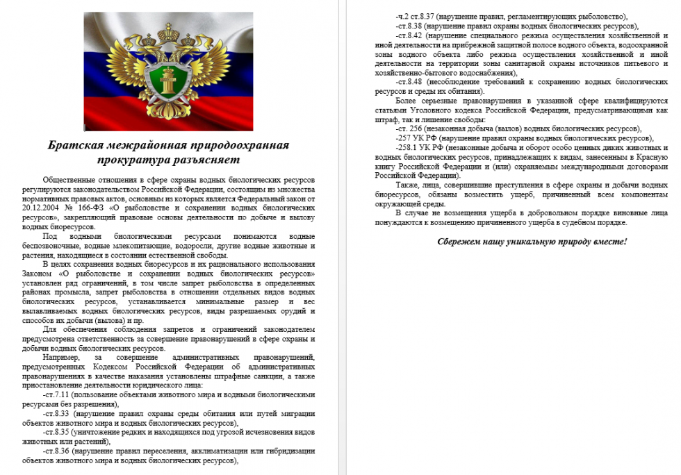 Братская межрайонная природоохранная прокуратура разъясняет